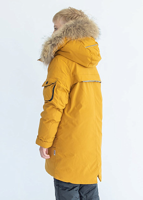 Парка зимняя